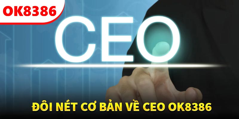 Đôi nét cơ bản về CEO Lem