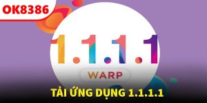 tai-ung-dung-1111